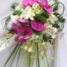 Przedsiębiorstwo 1 wizerunek AA KWIACIARNIA INTERNETOWA IZA Kwiaciarnie w Gliwice SL