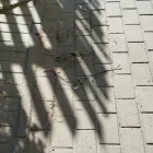 Przedsiębiorstwo 5 wizerunek ADM CENTRUM. SP. Z O.O. Kategoria w Białystok PD