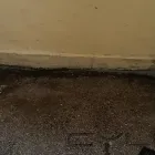 Przedsiębiorstwo 12 wizerunek ADM CENTRUM. SP. Z O.O. Kategoria w Białystok PD