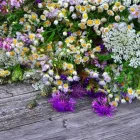 Przedsiębiorstwo 3 wizerunek AGA FLOWERS KWIACIARNIA DOM MODY KLIF Kwiaciarnie w Warszawa MZ