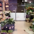 Przedsiębiorstwo 13 wizerunek AGA FLOWERS KWIACIARNIA DOM MODY KLIF Kwiaciarnie w Warszawa MZ