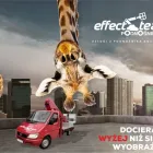 Przedsiębiorstwo 1 wizerunek AGENCJA REKLAMY EFFECT TEAM Wizytówki w Słupsk PM