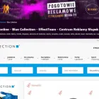 Przedsiębiorstwo 10 wizerunek AGENCJA REKLAMY EFFECT TEAM Wizytówki w Słupsk PM