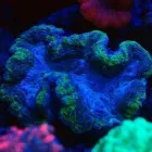 Przedsiębiorstwo 6 wizerunek AKWA MARIN OLIVIER OSSYWA Zoologiczne Sklepy w Kraków MA