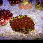 Przedsiębiorstwo 8 wizerunek AKWA MARIN OLIVIER OSSYWA Zoologiczne Sklepy w Kraków MA