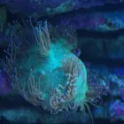 Przedsiębiorstwo 9 wizerunek AKWA MARIN OLIVIER OSSYWA Zoologiczne Sklepy w Kraków MA