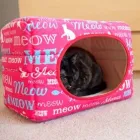 Przedsiębiorstwo 3 wizerunek ALL4PETS Zoologiczne Sklepy w Wrocław DS