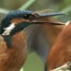 Przedsiębiorstwo 1 wizerunek ANARO PENSJONAT Pieczarkarnie w Milicz DS