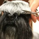 Przedsiębiorstwo 5 wizerunek ANIMALS CENTRUM PRZYCHODNIA WETERYNARYJNA Weterynaria - Usługi w Katowice SL