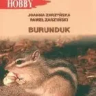 Przedsiębiorstwo 65 wizerunek ANIMOS.PL Rachunkowość - Usługi w Warszawa MZ