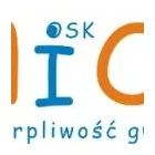 Przedsiębiorstwo 1 wizerunek ANIOŁ OSK Nauka Jazdy w Kraków MA