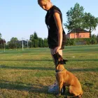 Przedsiębiorstwo 1 wizerunek APORT-PROFESJONALNE SZKOLENIE PSÓW WROCŁAW/KIEŁCZÓW Noclegi, Kwatery Prywatne w Wrocław DS