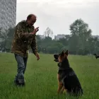 Przedsiębiorstwo 3 wizerunek APORT-PROFESJONALNE SZKOLENIE PSÓW WROCŁAW/KIEŁCZÓW Noclegi, Kwatery Prywatne w Wrocław DS