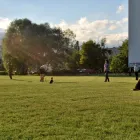 Przedsiębiorstwo 6 wizerunek APORT-PROFESJONALNE SZKOLENIE PSÓW WROCŁAW/KIEŁCZÓW Noclegi, Kwatery Prywatne w Wrocław DS