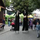 Przedsiębiorstwo 9 wizerunek ARTYSTYCZNA OPRAWA WYDARZEŃ TE ZŁOTE KUGLARZE Targi, Wystawy - Organizacja w Kraków MA