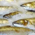 Przedsiębiorstwo 3 wizerunek ATLANTIC HURTOWNIA RYB Owoce Morza w Gliwice SL