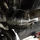 Przedsiębiorstwo 5 wizerunek AUTO SERWIS TŁUMIKI HAKI SPAWANIE MECHANIKA UL. PAKOSZ 16A Spawalnictwo - Usługi w Kielce SK