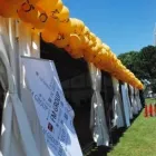 Przedsiębiorstwo 15 wizerunek BALOMANIA Świąteczne Artykuły, Dekoracje w Wrocław DS