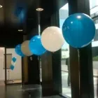 Przedsiębiorstwo 25 wizerunek BALOMANIA Świąteczne Artykuły, Dekoracje w Wrocław DS