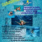 Przedsiębiorstwo 1 wizerunek BAMISWIM Sportowe Artykuły, Sprzęt - Detal w Tychy SL