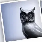 Przedsiębiorstwo 2 wizerunek BARBARA GAWROŃSKA. KANCELARIA PRAWNA LEX Radcy Prawni w Kraków MA