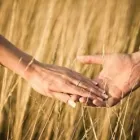 Przedsiębiorstwo 2 wizerunek BEA-VITA BEATA KUNIKOWSKA GABINET TERAPEUTYCZY Ośrodki Rehabilitacyjno - Wczasowe w Łódź LD