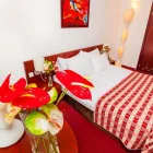Przedsiębiorstwo 33 wizerunek BEST WESTERN PREMIER KRAKOW HOTEL Kategoria w Kraków MA