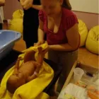 Przedsiębiorstwo 10 wizerunek BEZPŁATNA SZKOŁA RODZENIA DZIECIOK Lekarze - Ginekolodzy w Poznań WP