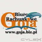 Przedsiębiorstwo 1 wizerunek BIURO RACHUNKOWE GOJA Rachunkowość - Usługi w Wrocław DS