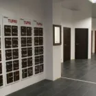 Przedsiębiorstwo 3 wizerunek BLOODWOOD MULTISALON Kategoria w Kielce SK