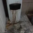 Przedsiębiorstwo 11 wizerunek BLUELEAF USŁUGI PORZĄDKOWE Kategoria w Wrocław DS