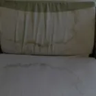 Przedsiębiorstwo 15 wizerunek BLUELEAF USŁUGI PORZĄDKOWE Kategoria w Wrocław DS