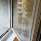 Przedsiębiorstwo 20 wizerunek BLUELEAF USŁUGI PORZĄDKOWE Kategoria w Wrocław DS