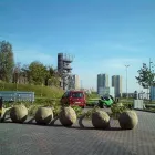 Przedsiębiorstwo 4 wizerunek BOTIKA Ogrody, Tereny Zieleni - Projektowanie, Utrzymanie w Katowice SL