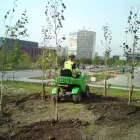 Przedsiębiorstwo 5 wizerunek BOTIKA Ogrody, Tereny Zieleni - Projektowanie, Utrzymanie w Katowice SL