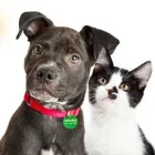 Przedsiębiorstwo 59 wizerunek CENTRUM BADTKE, DORABIANIE KLUCZY, AWARYJNE OTWIERANIE, GRAWEROWANIE, PIECZĄTKI, OSTRZENIE. Zamki, Klamki w Inowrocław KP