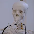 Przedsiębiorstwo 10 wizerunek CENTRUM REHABILITACJI SANOMED Rehabilitacja w Rzeszów PK