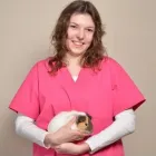Przedsiębiorstwo 5 wizerunek CENTRUM WETERYNARYJNE EKOVET Zoologiczne Sklepy w Wrocław DS