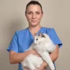 Przedsiębiorstwo 8 wizerunek CENTRUM WETERYNARYJNE EKOVET Zoologiczne Sklepy w Wrocław DS