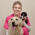 Przedsiębiorstwo 10 wizerunek CENTRUM WETERYNARYJNE EKOVET Zoologiczne Sklepy w Wrocław DS