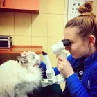 Przedsiębiorstwo 18 wizerunek CENTRUM WETERYNARYJNE EKOVET Zoologiczne Sklepy w Wrocław DS