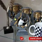 Przedsiębiorstwo 6 wizerunek CHAMPION TROFEA SPORTOWE PUCHARY, MEDALE, STATUETKI, DYPLOMY Sportowe Artykuły, Sprzęt - Produkcja, Hurt w Gliwice SL