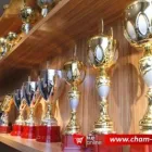 Przedsiębiorstwo 8 wizerunek CHAMPION TROFEA SPORTOWE PUCHARY, MEDALE, STATUETKI, DYPLOMY Sportowe Artykuły, Sprzęt - Produkcja, Hurt w Gliwice SL