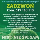 Przedsiębiorstwo 4 wizerunek CLEAN-BI Szkoły Języków Obcych w Kielce SK