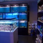 Przedsiębiorstwo 1 wizerunek CORALHOUSE KONRAD SOKALSKI Zoologiczne Sklepy w Bielawa DS