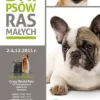 Przedsiębiorstwo 1 wizerunek CRAZY WORLD PETS Zwierzęta - Artykuły w Warszawa MZ