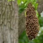 Przedsiębiorstwo 5 wizerunek DDD ROBAK Weterynaria - Usługi w Mińsk Mazowiecki MZ