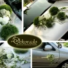 Przedsiębiorstwo 2 wizerunek DEKORADO Kategoria w Rybnik SL