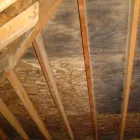 Przedsiębiorstwo 4 wizerunek DERTY SERWIS ODGRZYBIANIE I OSUSZANIE Kategoria w Warszawa MZ