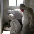 Przedsiębiorstwo 5 wizerunek DERTY SERWIS ODGRZYBIANIE I OSUSZANIE Kategoria w Warszawa MZ